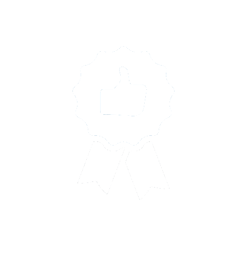 Guarantee Icon